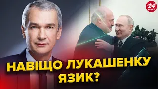 "ЛЕГІТИМНИЙ" Лукашенко поставив ПУД СУМНІВ легітимність Зеленського. Орбан ПІДСТАВИВ всіх угорців