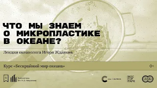 «Что мы знаем о микропластике в океане?» Лекция океанолога Игоря Жданова