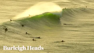 Avo on Toast - Burleigh Heads - Friday 15 March 2024