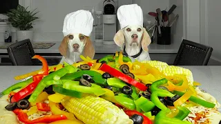 Dogs Make GIANT Veggie Pizza: Funny Dogs Recreate Pizza from @GrandpaKitchen