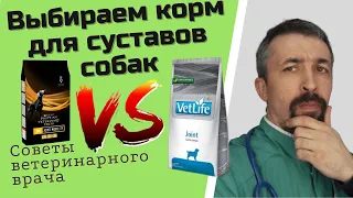 Собачьи корма для подвижности суставов