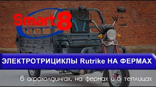 Электротрициклы RuTrike в агрохолдингах, на фермах и в теплицах