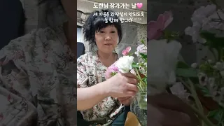 도련님 장가가는 날 꽃을 선물 받아 꽃꽂이 해봅니다 flower arrangement🌸 행복하세요🩷