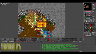 Tibia - Hunt Paladin 40+ Werebadgers