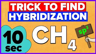 How to calculate Hybridization? Easy Trick