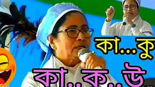 Meghalaya giye pisi ja korlen//Whistlingvillage//MamataBanerjee funny video