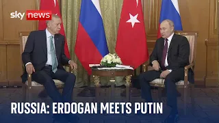 Turkey's president Erdogan meets Russia's Putin over hopes to revive grain deal