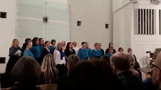 Naiskuoro Viihdepiikkarit - Ave Maria