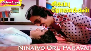 Ninaivo Oru Paravai HD | Kamal Haasan | S.Janaki | Kannadasan | Sigappu Rojakkal | Tamil Hits