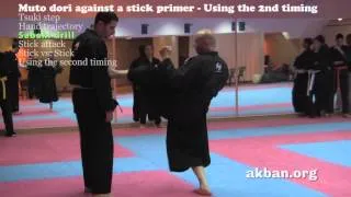 November the 25th - Ninjutsu muto dori against a stick, 2nd timing lesson - AKBAN wiki