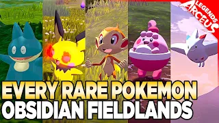 Every Rare Pokemon in Obsidian Fieldlands - Pokemon Legends Arceus