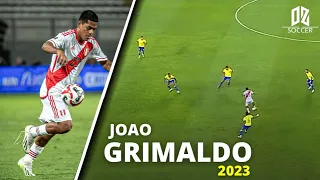 Joao Grimaldo vs Brasil ► DEBUT  ● Selección Peruana 2023|ᴴᴰ✔