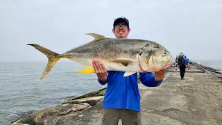 MULTI-SPECIES JETTY FISHING ***Texas Jetty MONSTER FISH*** Surfside Jetty Texas.