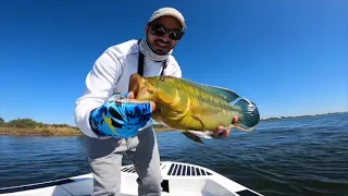 Zambezi Tigerfishing Vlog Day 1