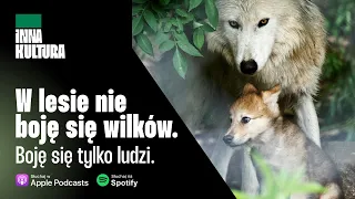 W harmonii z Naturą | Marcin (z Lasu) Kostrzyński