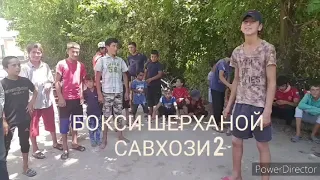 боксиёрой савхози 2