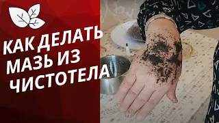 Как делать  мазь  из Чистотела