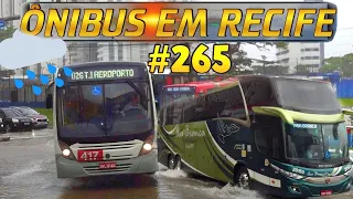 #265 Ônibus do Recife - Dia de chuva - Movimentação na zona sul da cidade