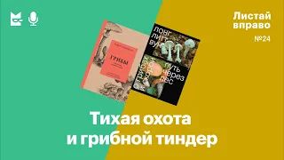 Тихая охота и грибной тиндер. «Путь через лес» и «Грибы. Обитатели скрытого мира»