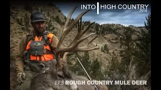 Rough Country Mule Deer