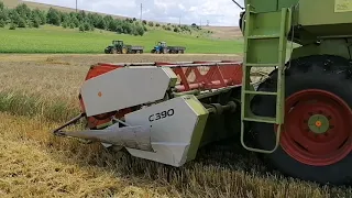 Озимий ячмінь гібрид Вутан.Збирання врожаю,CLAAS Dominator 66.