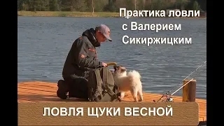 Щука на спиннинг весной. Практика Ловли с Валерием Сикиржицким.