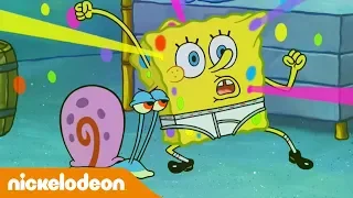 Губка Боб Квадратные Штаны | Домашняя вечеринка | Nickelodeon Россия