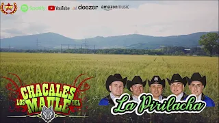 Los Chacales del Maule - La Pirilacha (Audio)