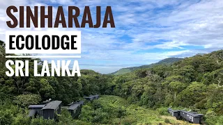 Sinharaja Forest | Deniyaya Rainforest Eco lodge | Beautiful hotel in Sri Lanka | Traveldiary 07