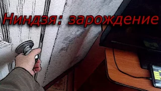 Ниндзя: Зарождение