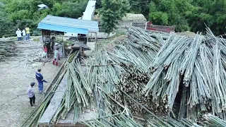 Bamboo Paper Production Plant. Amazing Bamboo Products Manufacturing Process. How To Make Chopstick