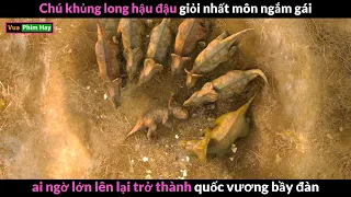 Hành trình Vượt Khó của chú Khủng long Hậu đậu - review phim Dạo Bước Cùng Khủng Long