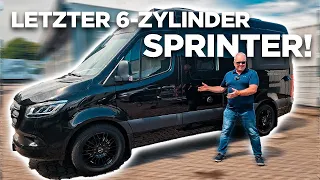 💢Kastenwagen Prototyp! Der MegaMobil Mega 600 XXX Sprinter Wohnmobil!