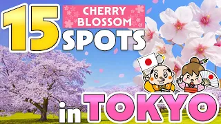 Tokyo Cherry Blossom Spots / Things to know before traveling to Japan / Spring Travel Tips 2024
