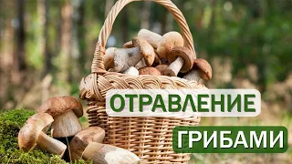 Грибы / Как избежать отравления грибами?