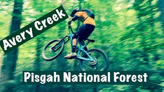 Avery Creek Downhill in Pisgah!