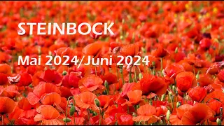 STEINBOCK Mai 2024 / Juni 2024 TAROT -- Fühlst Du Dich in die Enge getrieben?