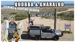 Lappin with FLAIR! Ep 21 - Quobba & Gnaraloo | EPIC Fishing | Surfing  HEAVEN | Shark Bay Pinkies!