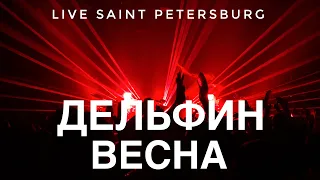 Дельфин - Весна Live Космонавт | Санкт Петербург 18.11.2023   4K