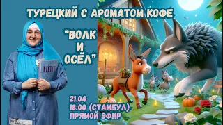 Турецкий с ароматом кофе. "Волк и Осёл"