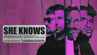 She Knows [with Akon] [3 Are legend x MANDY Remix] (Visualizer)