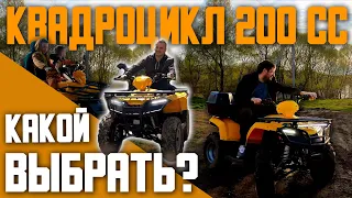 ВЫБИРАЕМ КВАДРОЦИКЛ 200 СС