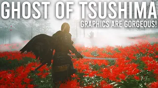 Ghost of Tsushima graphics are gorgeous!