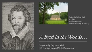 A Byrd in the Woods... - William Byrd on the F.C. Schnitger organ, Duurswoude