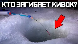 ПОПАЛ НА ДИКИЙ ХАПОК! Накормил АНИСОМ и КЛЮЁТ! Рыбалка в КОНЦЕ февраля 2024