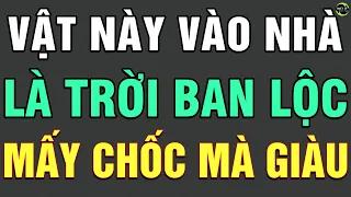 Đột Nhiên Con Vật Này Bay Vào Nhà Là Trời Ban TRỜI BAN GIÀU SANG PHÚ QUÝ Hay TAI HỌA ẬP ĐẾN? TLCN