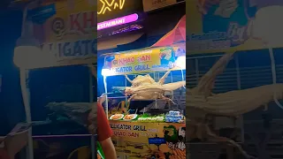 Khaosan Road Bangkok #shorts #ytshorts