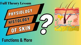 Physiology Histology Of Skin|Theory Layers of Skin Explained
