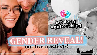 BABY #2 GENDER REVEAL 💙💖 + our LIVE reactions!!🌟 || Is Baby #2 a BOY OR GIRL?!