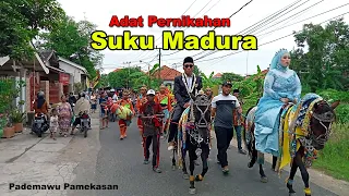 Indonesia marriage Culture Vlog, Adat pernikahan suku madura, life in village